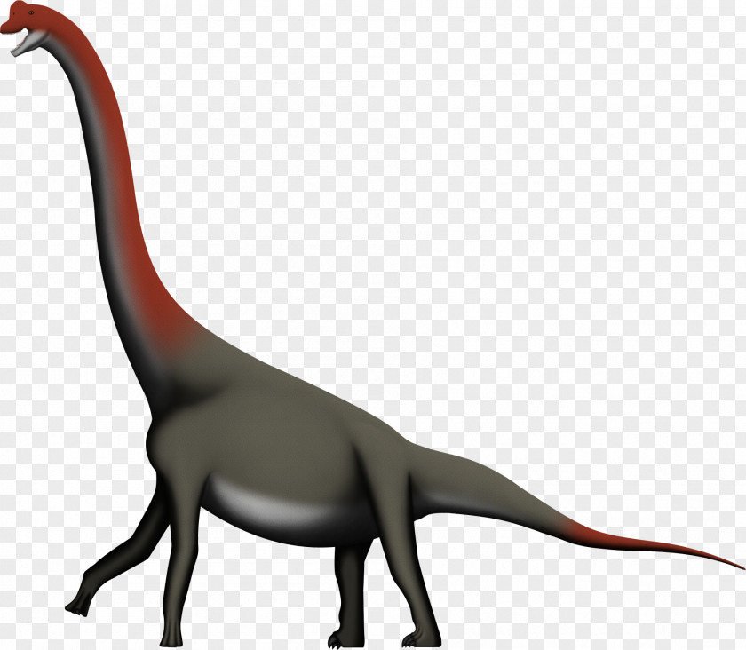 Dinosaurs Lapparentosaurus Macronaria Alvarezsaurus Isalo III Formation Majungasaurus PNG