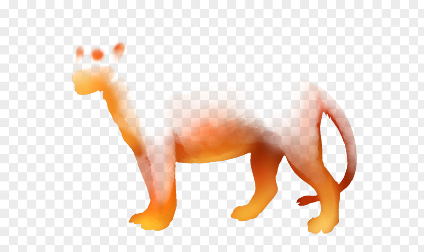 Ferret Cat Dog Canidae Snout PNG