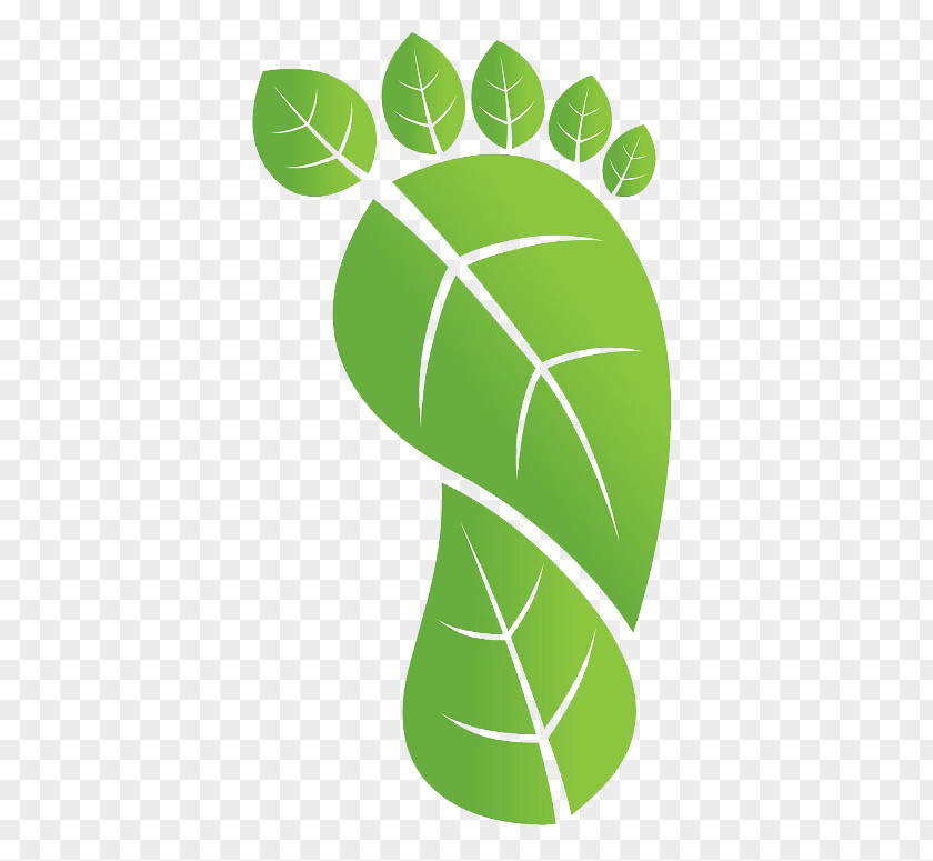 Natural Environment Carbon Footprint Global Warming Ecological Dioxide PNG