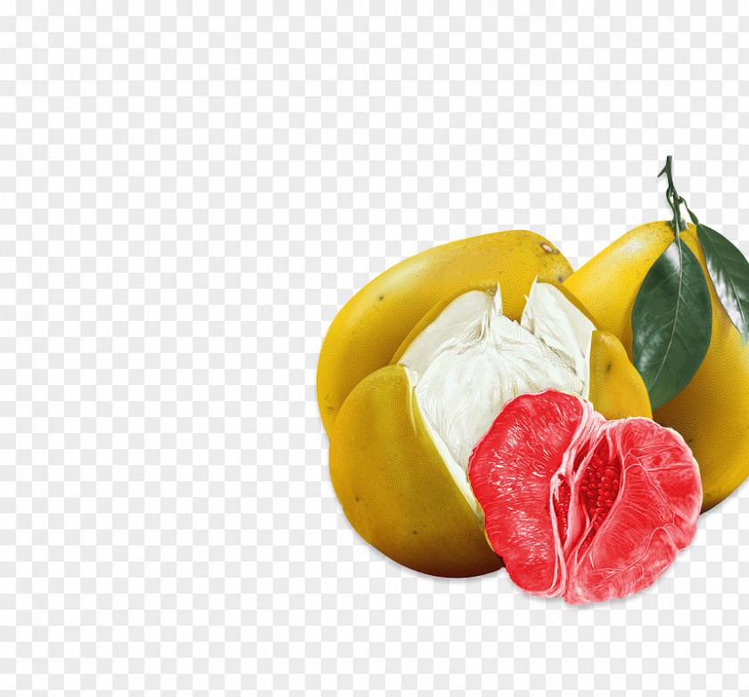 Red Grapefruit Pomelo PNG