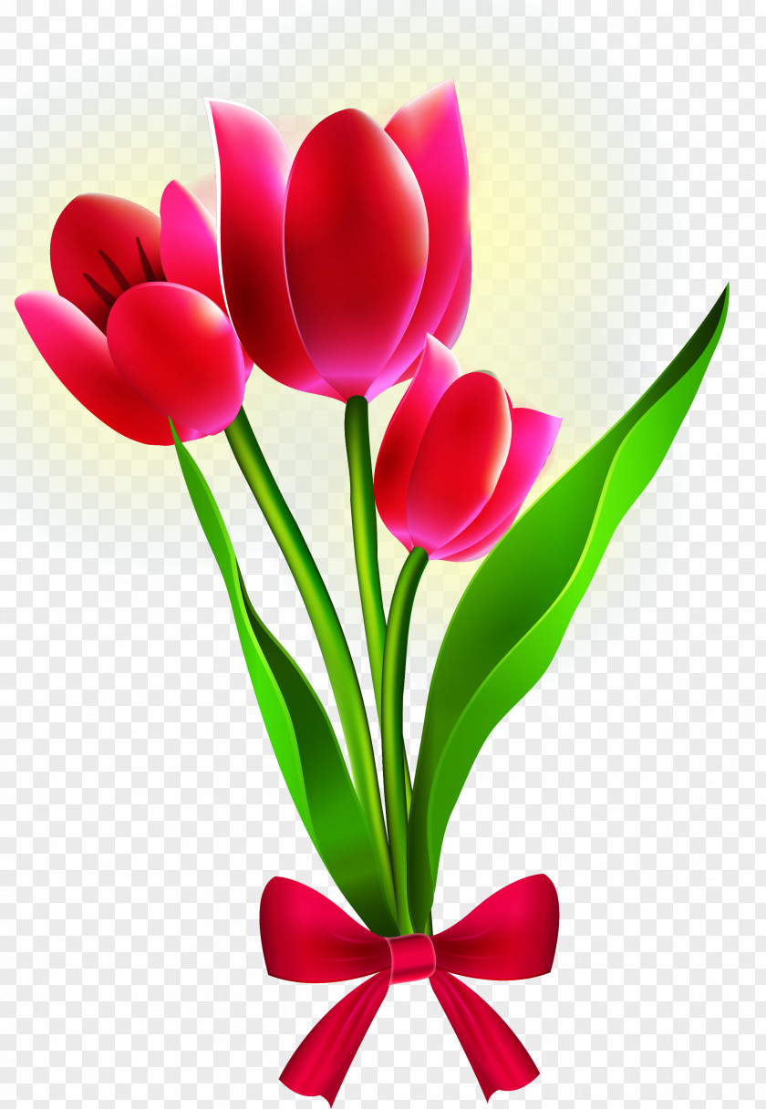 Tulip Border Flowers PNG