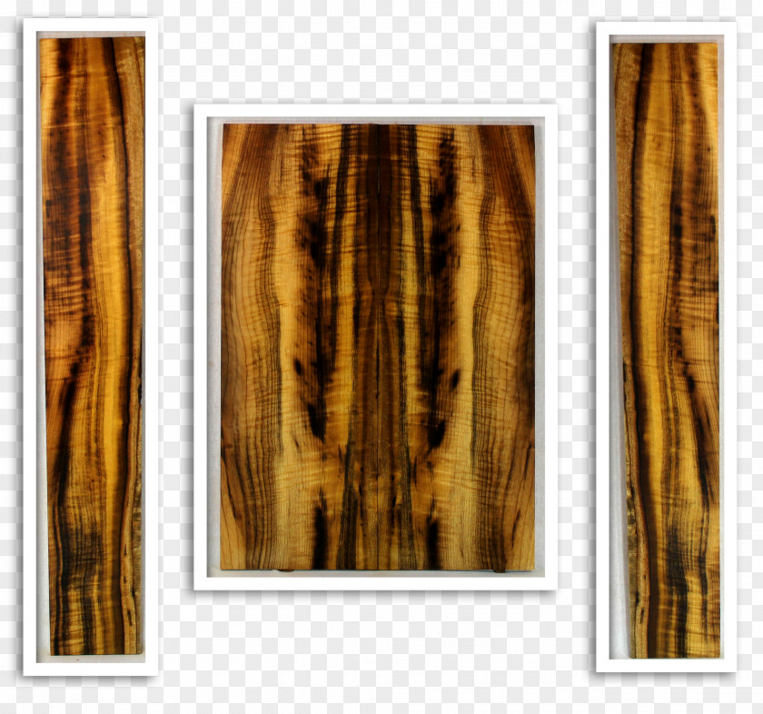 Wood Stain Picture Frames Trunk Modern Art PNG