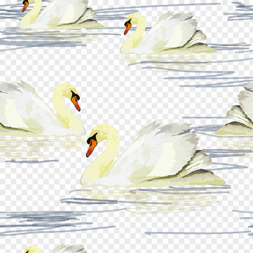 Beautiful Swan Background Cygnini Duck Illustration PNG