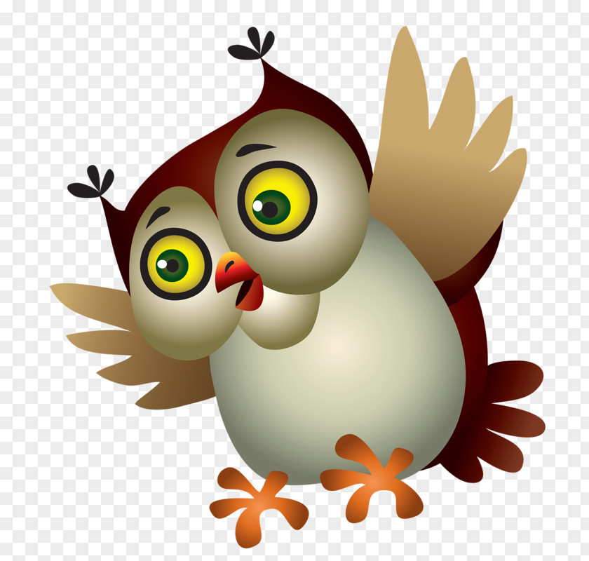 Birds Fly Owl Cartoon Royalty-free Clip Art PNG