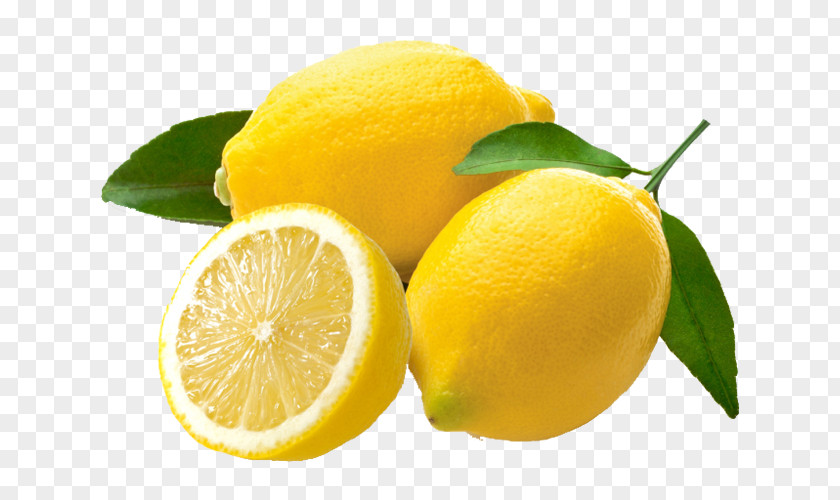 Lemon Lime Fruit Oil Vegetable PNG