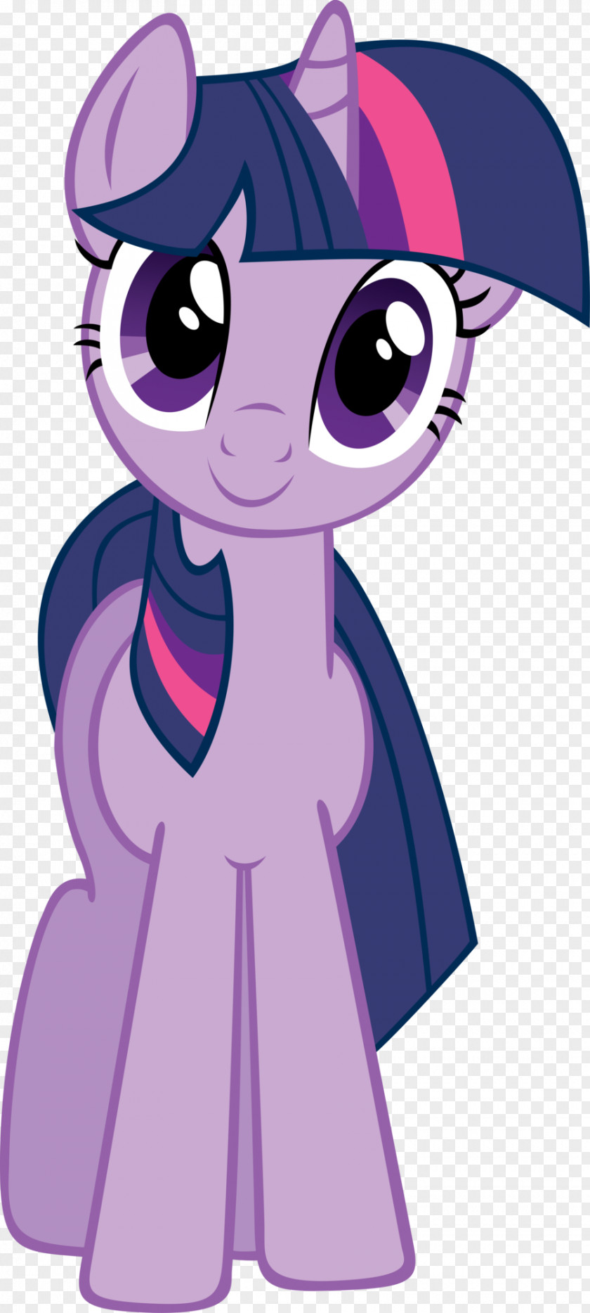 My Little Pony Twilight Sparkle Applejack Spike Rarity PNG