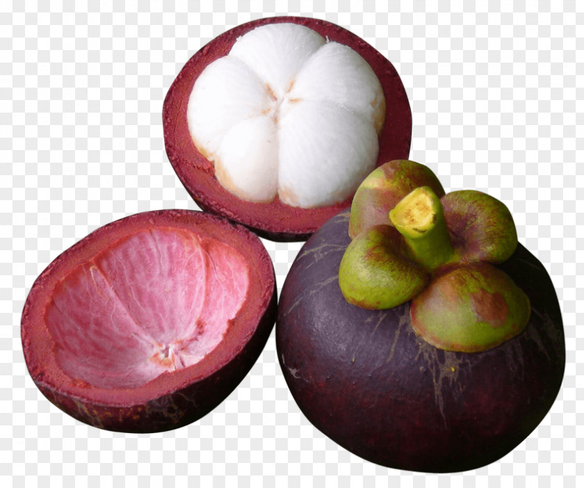 Purple Mangosteen Fruit PNG