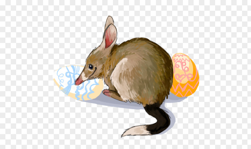 Rat Computer Mouse Fauna PNG