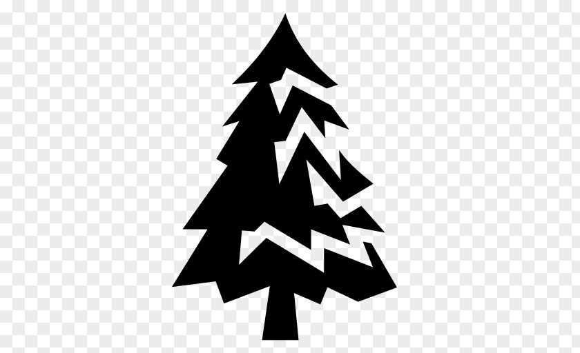 Tree Pine Symbol PNG