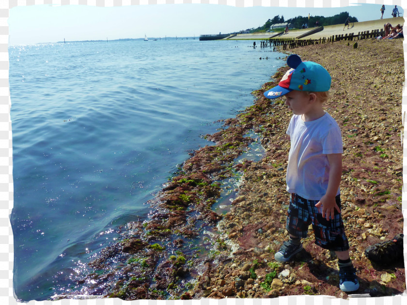 Beach Shore Coast Cape May Promontory Water Resources PNG