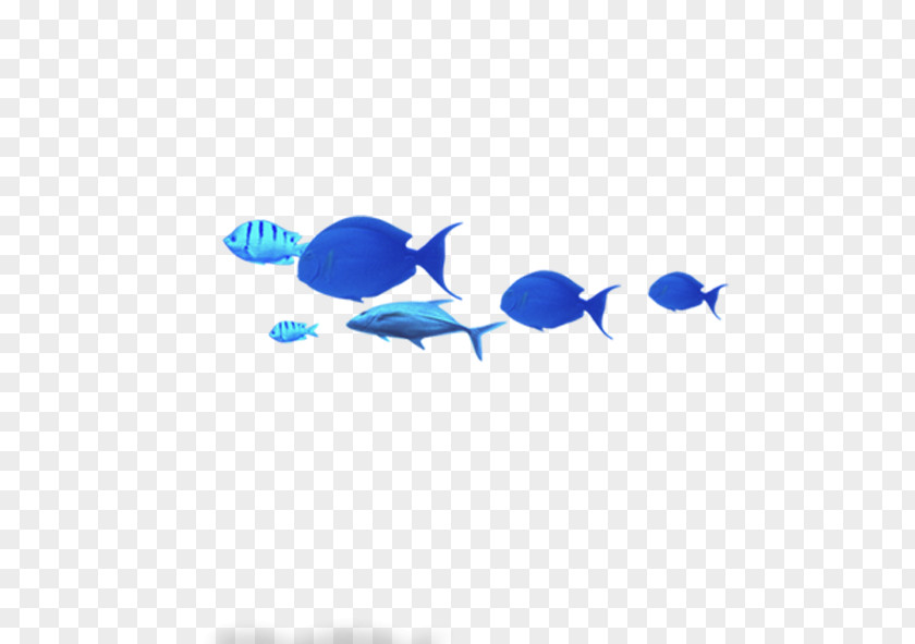 Blue Fish Common Carp PNG