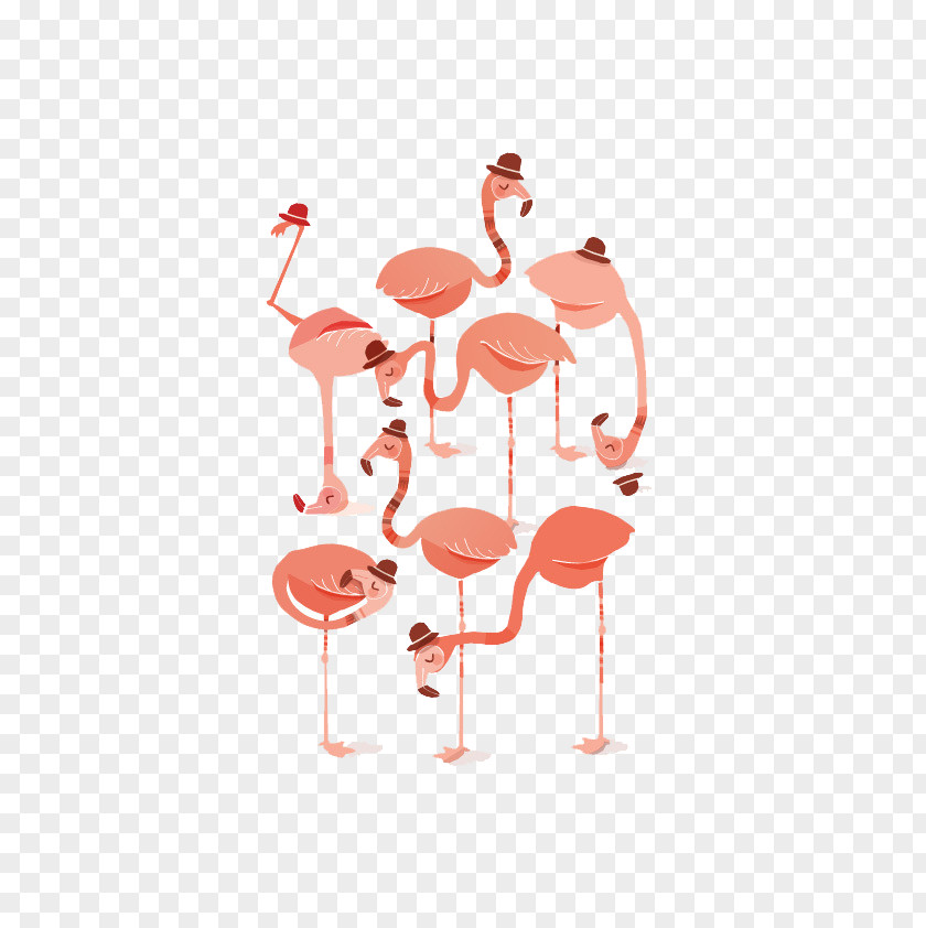 Flamingos Flamingo Illustration PNG