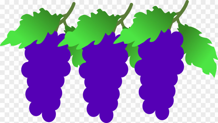 Grape Grapevines Wine Clip Art PNG