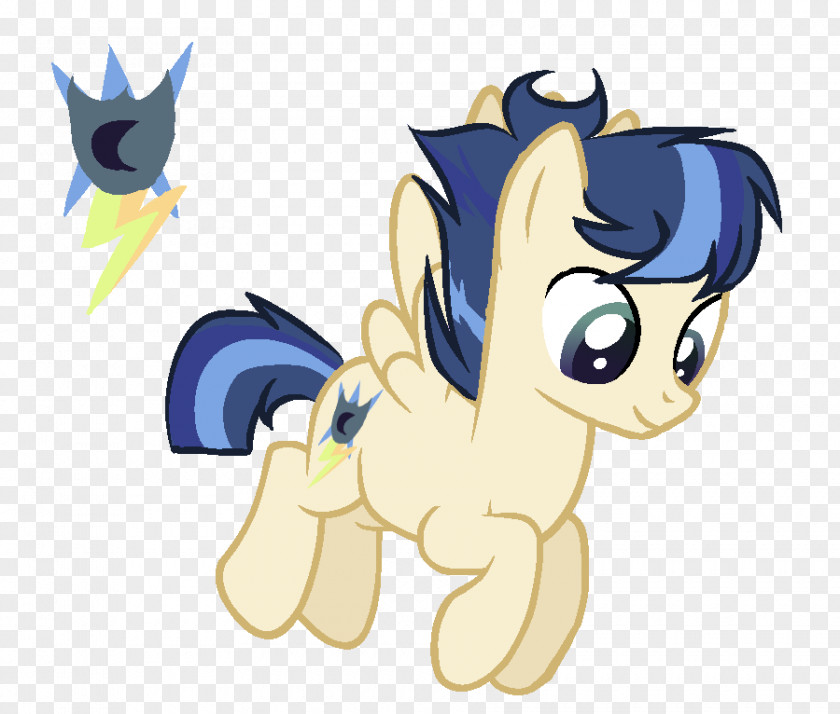 My Little Pony Twilight Sparkle Flash Sentry Rarity PNG