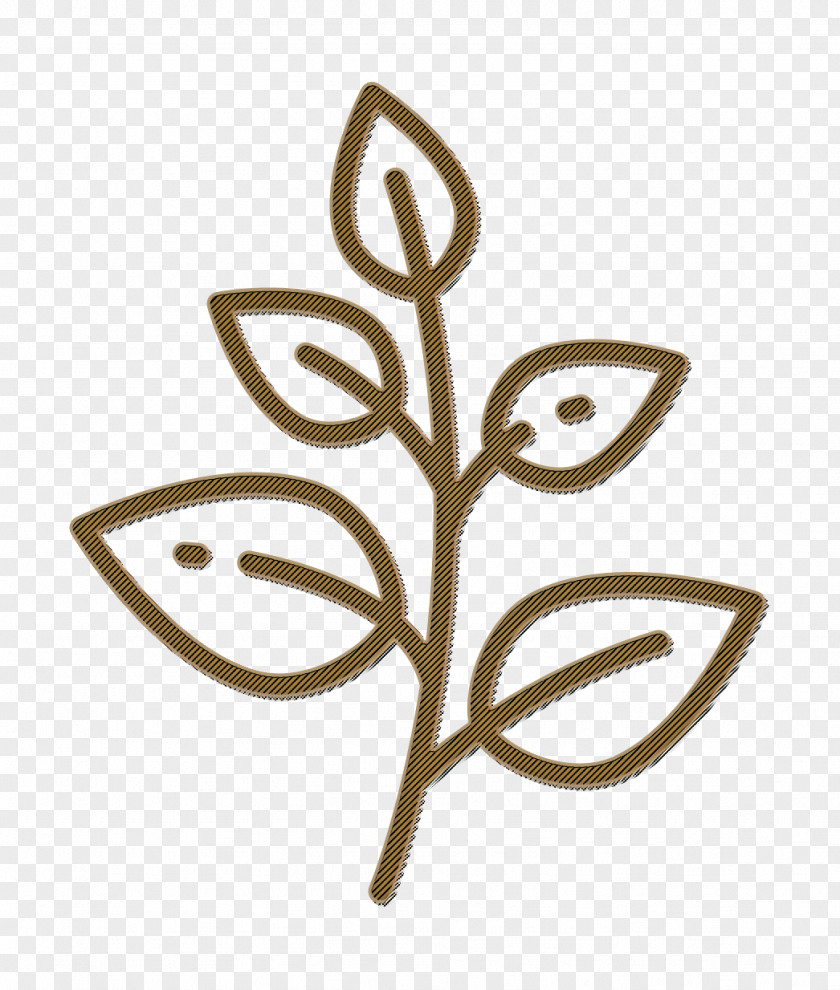 Animals And Nature Icon Basil Herb PNG