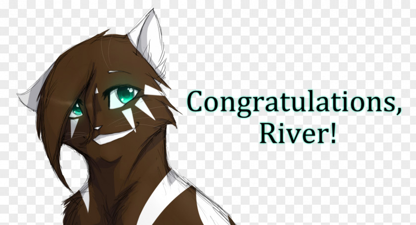 Congratulation Horse Drawing DeviantArt Pony PNG