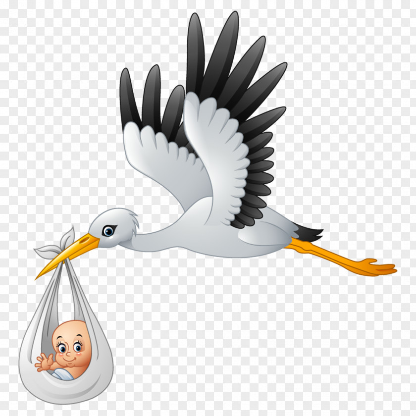 Stork Royalty-free Clip Art PNG