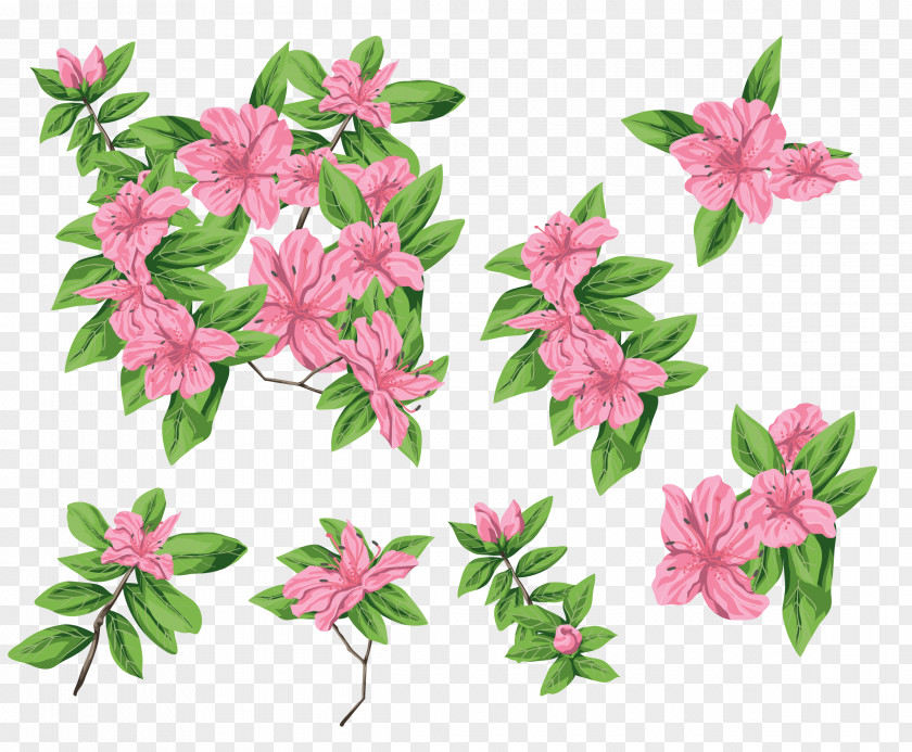 Waterflower Cut Flowers Clip Art PNG