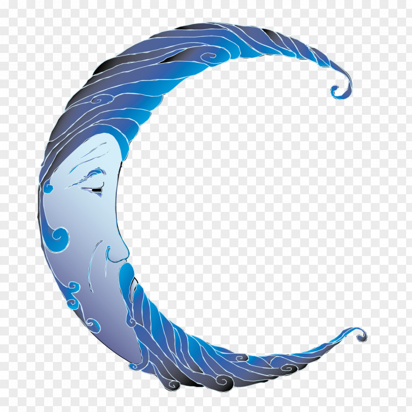 Blue Moon Valley Feather Microsoft Azure PNG