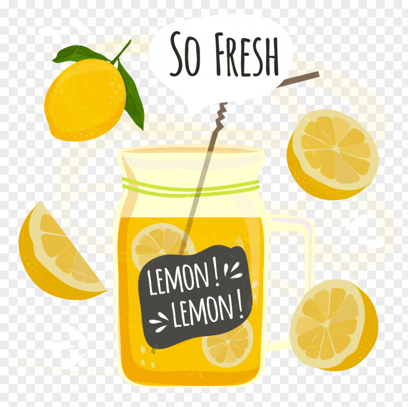 Orange Juice Drink Lemon-lime PNG