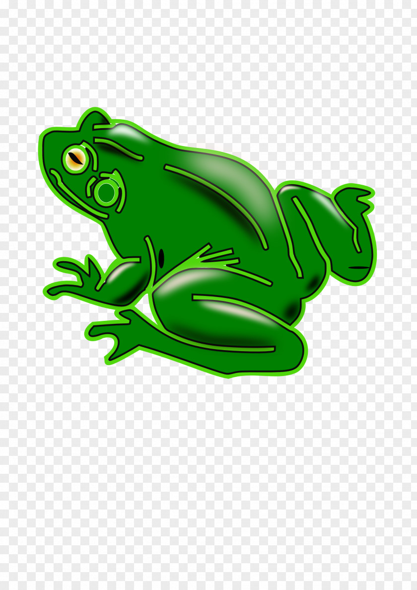 Rama Common Frog Pickerel Clip Art PNG