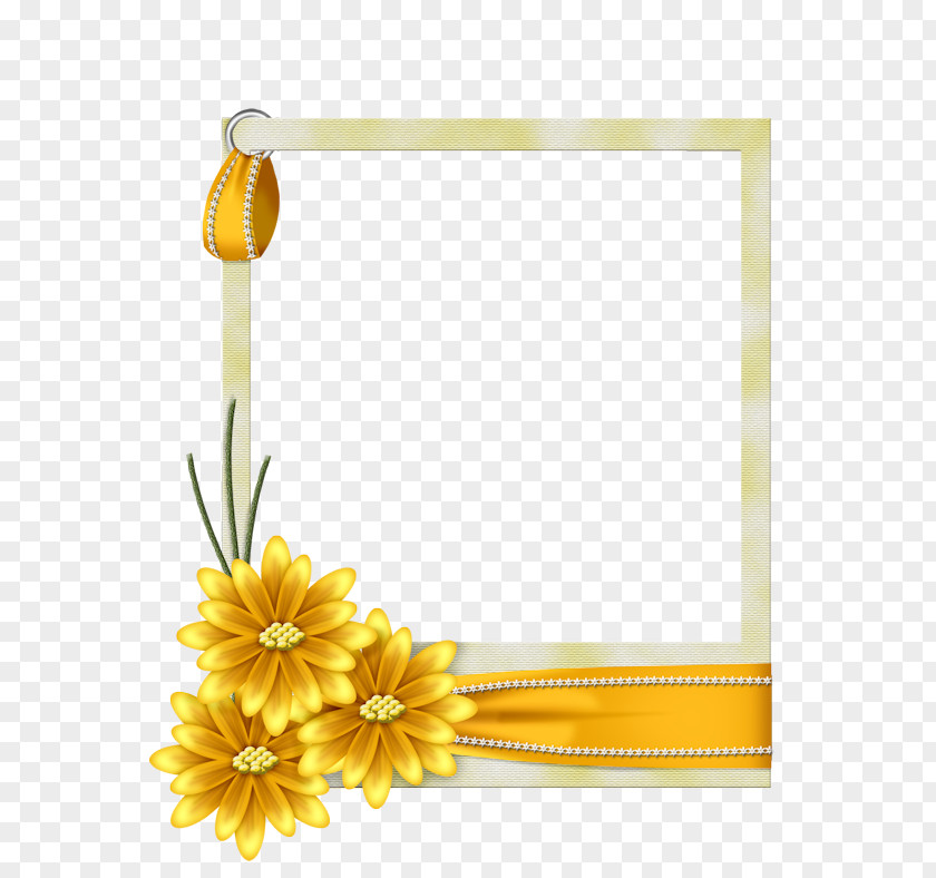 Yellow Flowers Border Picture Frames Flower PNG