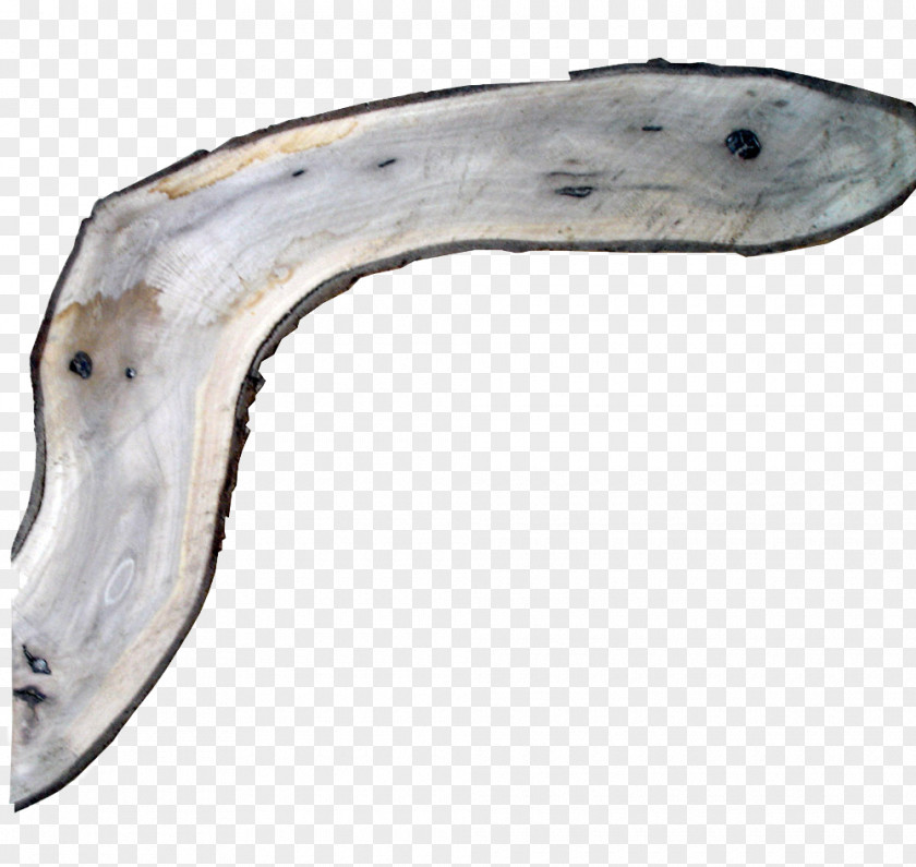 Aboriginal Boomerang Fish Document Image Elbow PNG