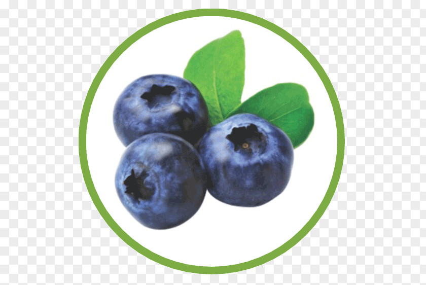 Aronia Berries Blueberry Tea American Muffins Juice Food PNG