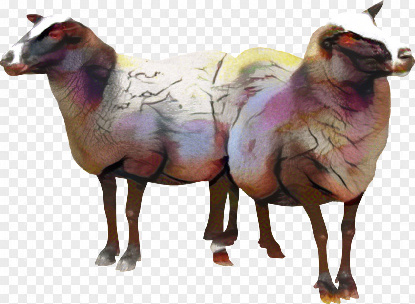 Clip Art Sheep Goat Vector Graphics PNG