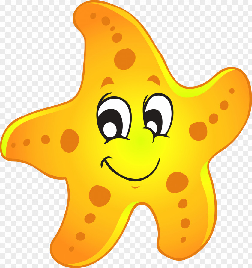 Cute Starfish Pic Clip Art PNG