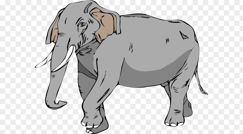 Elephant Images Black And White Asian Tusk Clip Art PNG