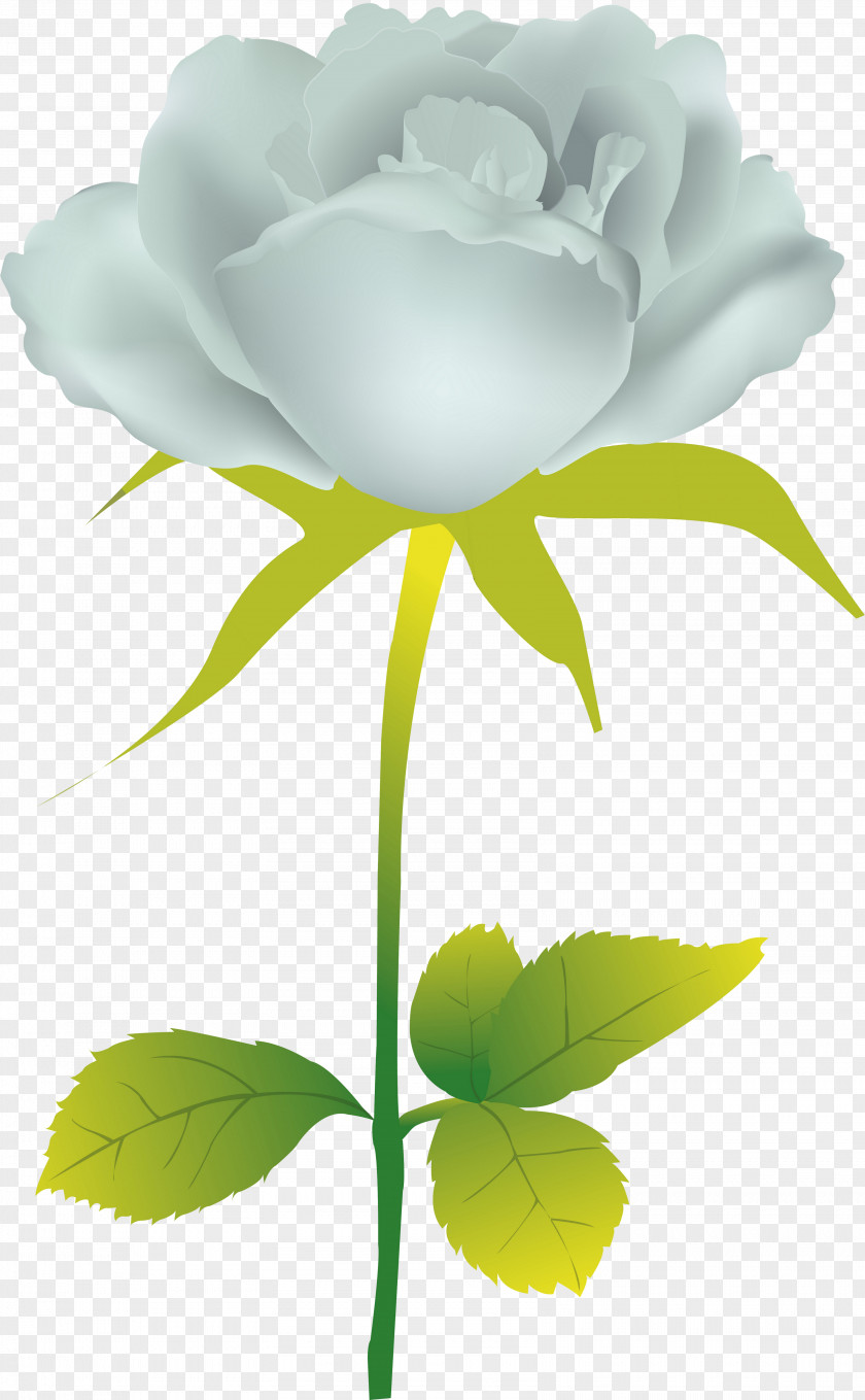 Flower Garden Roses Illustration Vector Graphics Clip Art Desktop Wallpaper PNG