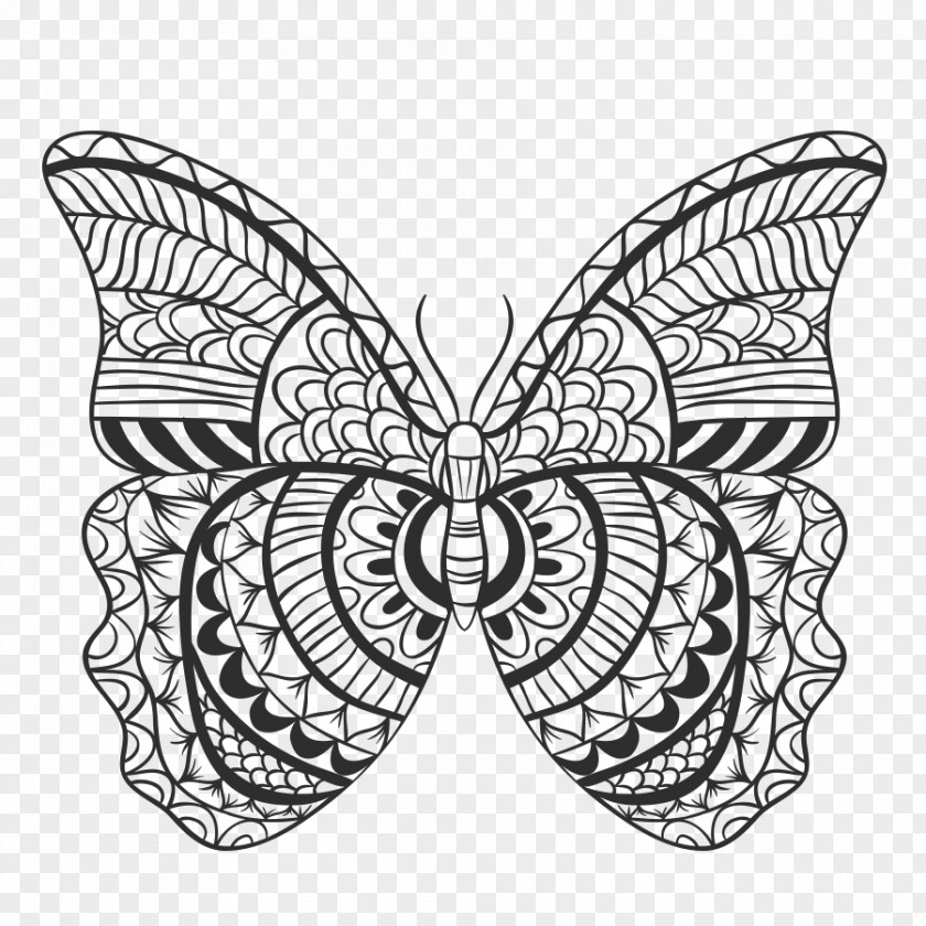 Baterflay Button Monarch Butterfly Vector Graphics Image Drawing PNG