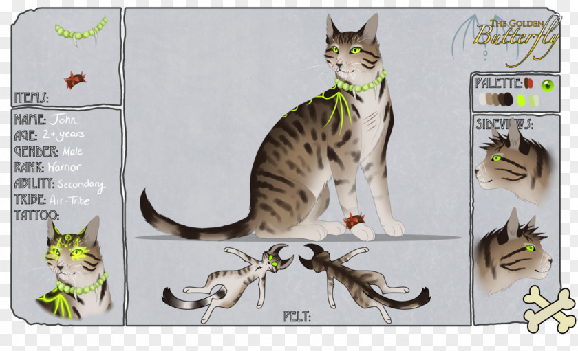 Design Tabby Cat Bengal Whiskers Paw Fauna PNG