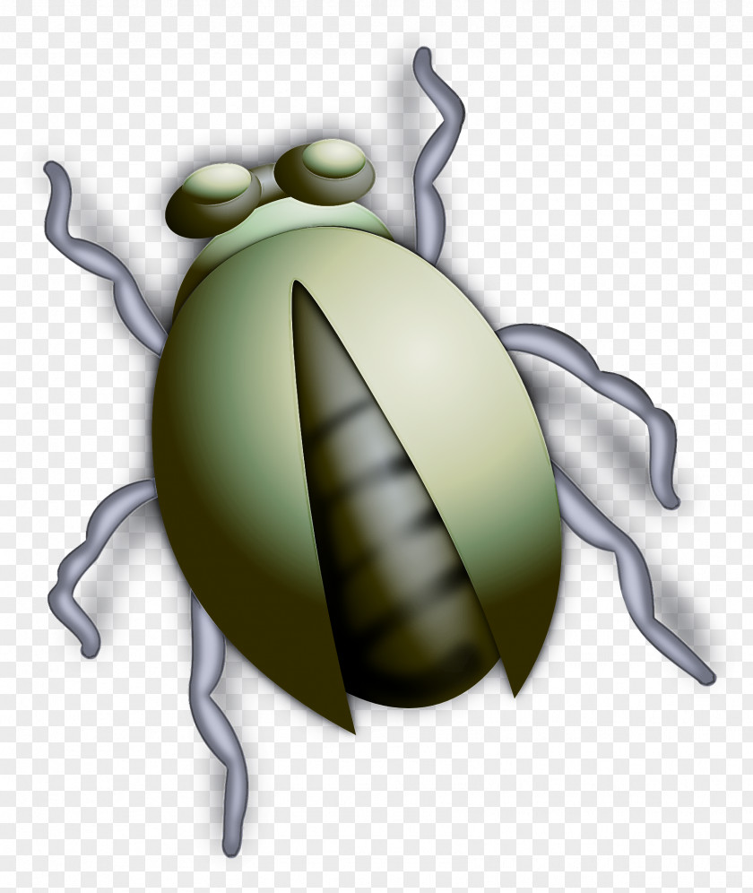 Insect Cartoon Pest Membrane-winged PNG