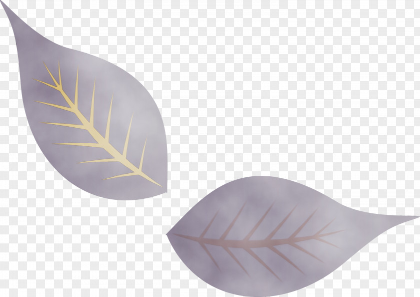 Leaf Purple Brochure Biology Science PNG