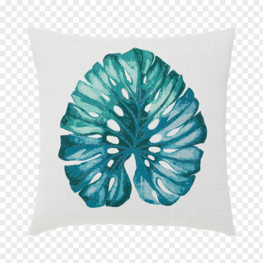 Pillow Throw Pillows Cushion Fringe Crate & Barrel PNG