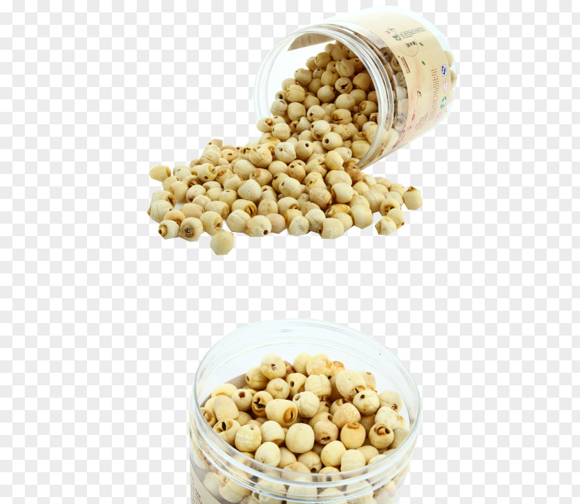 Seedpod Of The Lotus Vegetarian Cuisine Bean Superfood Ingredient PNG