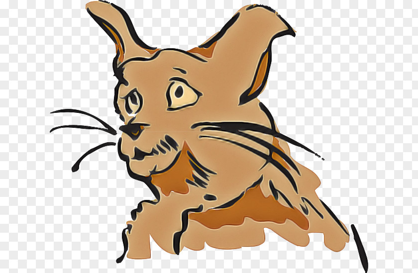Tail Whiskers Cartoon Snout Animal Figure Wildlife PNG