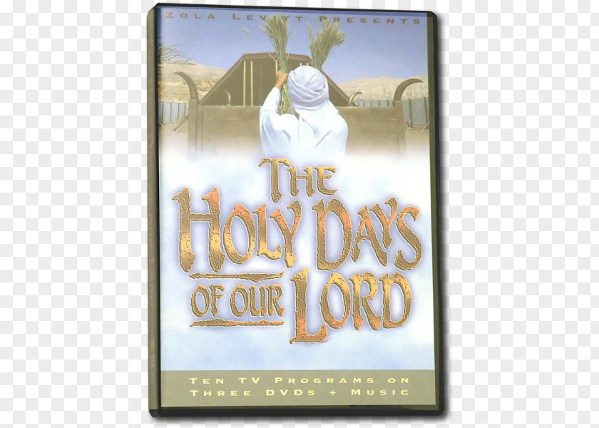 Day Of The Holy Innocents Picture Frames Font PNG