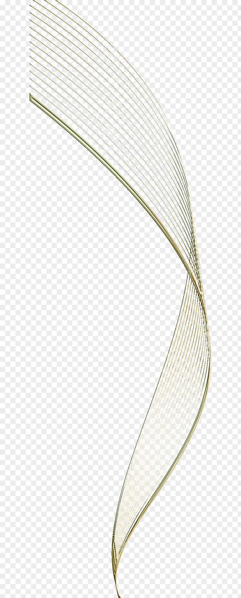 Lines Rectangle Line PNG