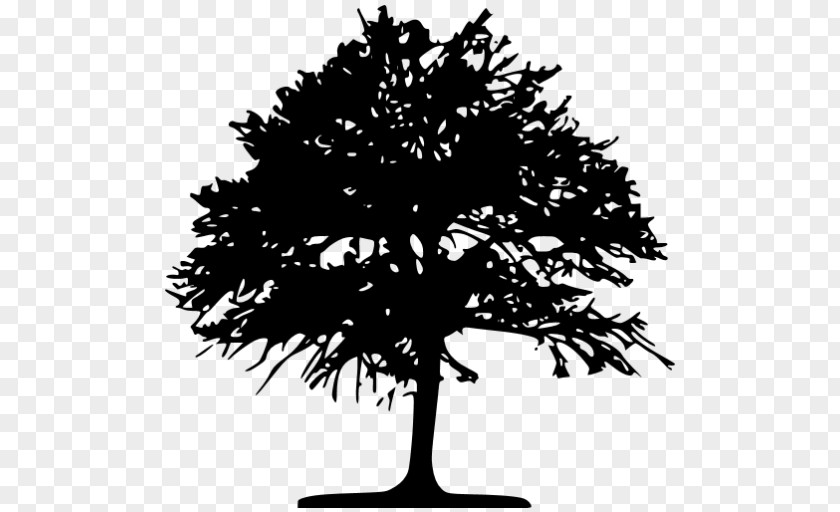 Tree Silhouette Drawing Clip Art PNG