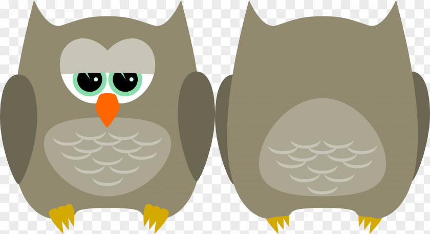Bird Barn Owl Of Prey Clip Art PNG