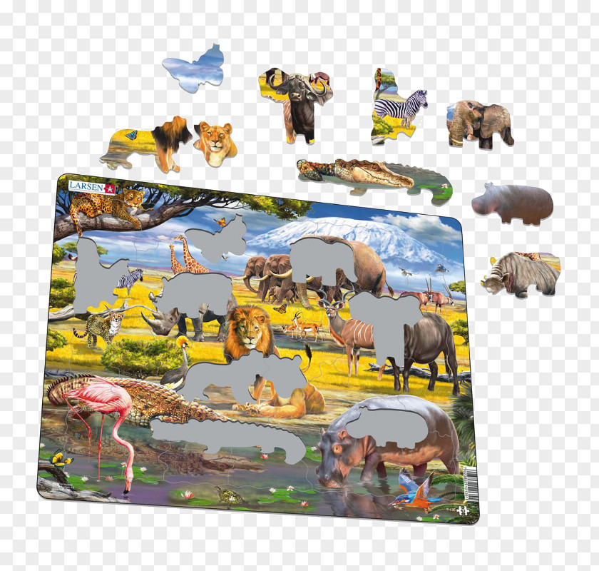 Educação Savanna Jigsaw Puzzles Rainforest Southern Province PNG