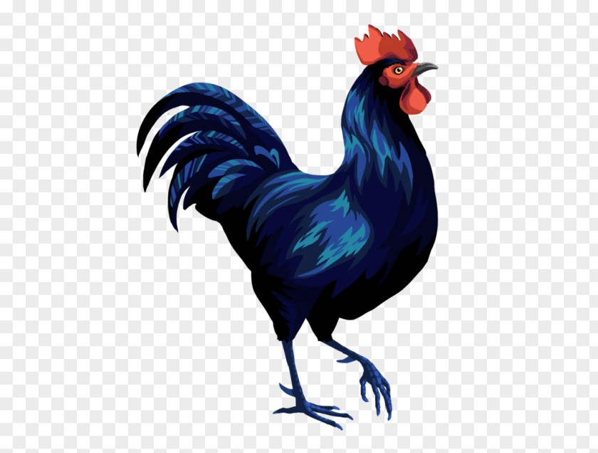 Egg Chicken Rooster Beak Bird Brahma Silkie PNG