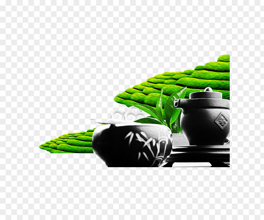 Green Tea Garden Culture PNG