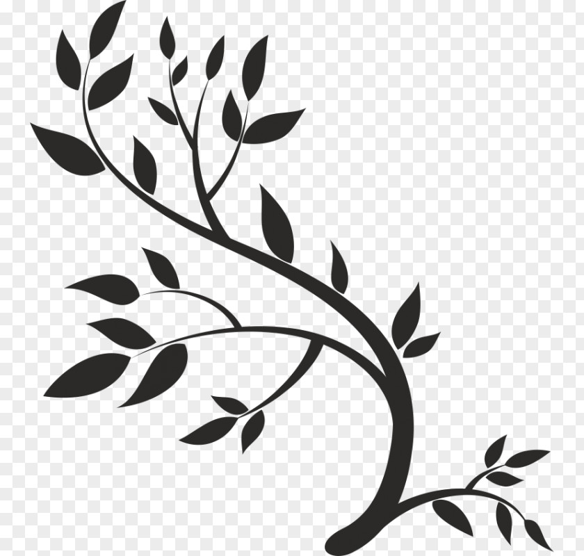 Leaf Drawing PNG