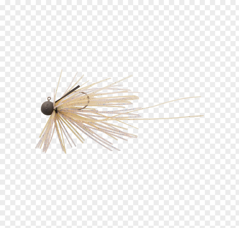 Shrimps Insect Artificial Fly Fishing Baits & Lures Invertebrate Globeride PNG