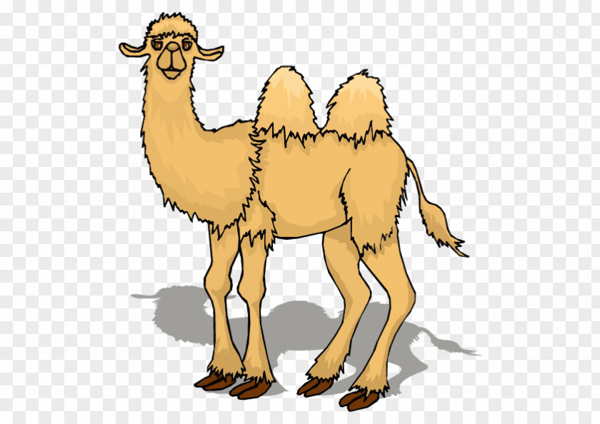 Vector Camel Animation Cartoon Clip Art PNG
