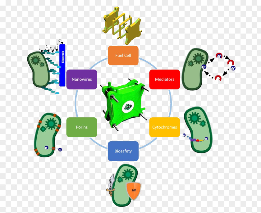 Biological Technology Organism Clip Art PNG